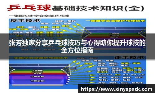 张芳独家分享乒乓球技巧与心得助你提升球技的全方位指南